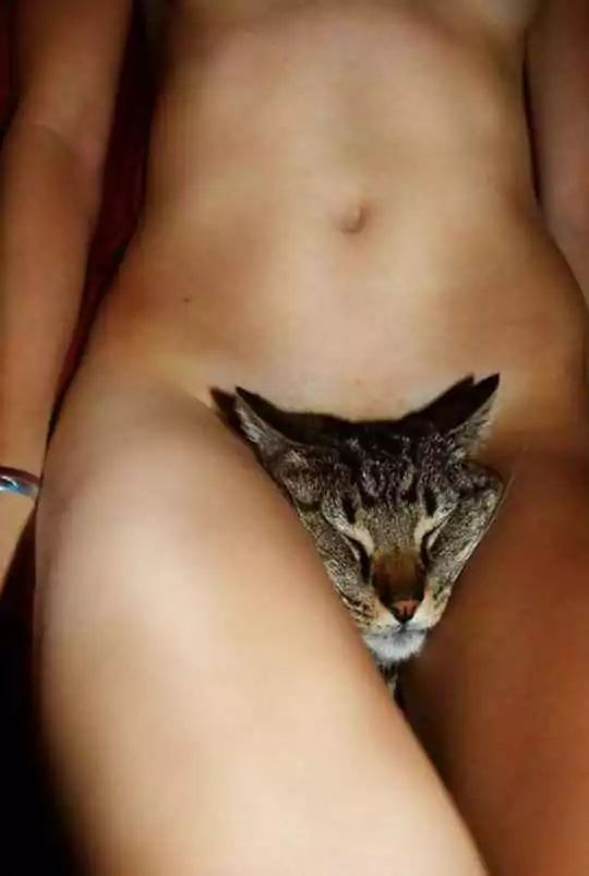 Видеочат 18+ девушки, и интимная стрижка! 3 kiskasexkartinka e18
